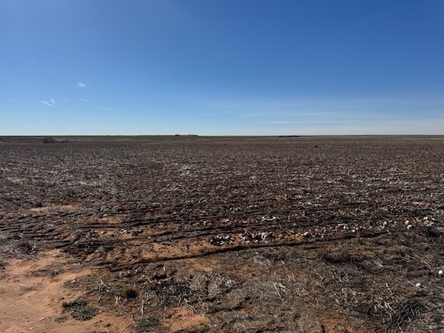 #000 County Rd 151, Loop, Texas image 9