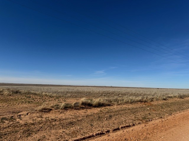 #000 County Rd 151, Loop, Texas image 5