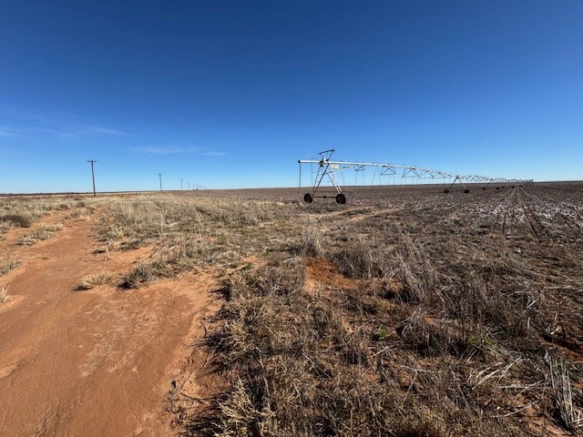 #000 County Rd 151, Loop, Texas image 17