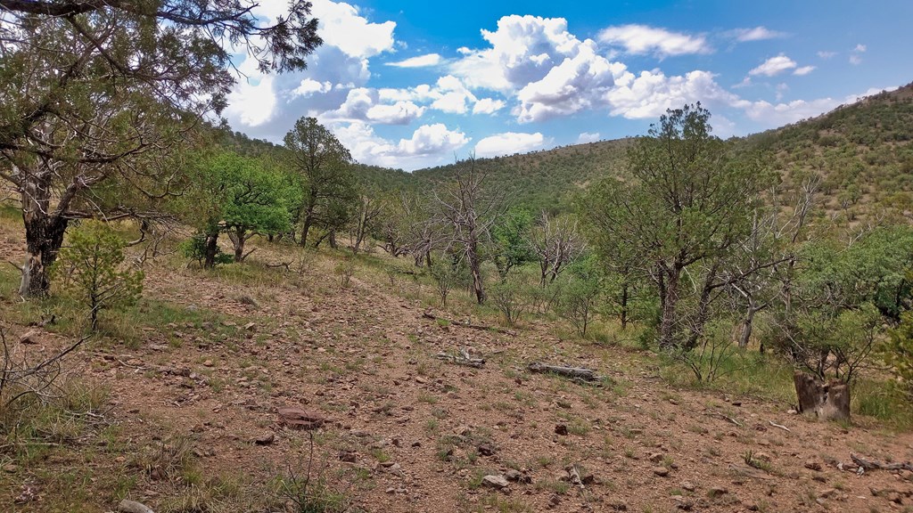 203/207 High Lonesome Trail, Fort Davis, Texas image 16