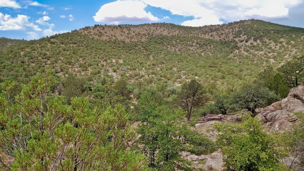 203/207 High Lonesome Trail, Fort Davis, Texas image 14
