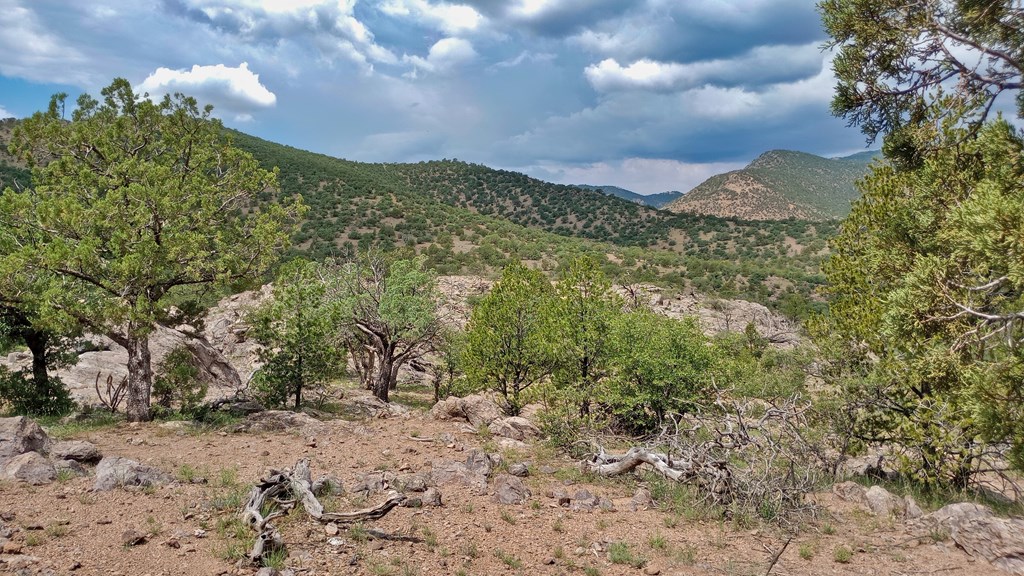 203/207 High Lonesome Trail, Fort Davis, Texas image 10