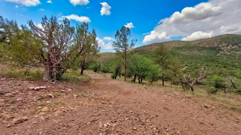 203/207 High Lonesome Trail, Fort Davis, Texas image 18