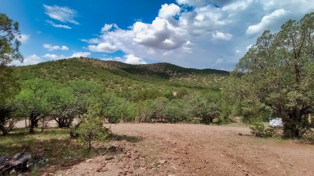 203/207 High Lonesome Trail, Fort Davis, Texas image 7