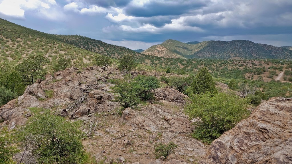 203/207 High Lonesome Trail, Fort Davis, Texas image 13