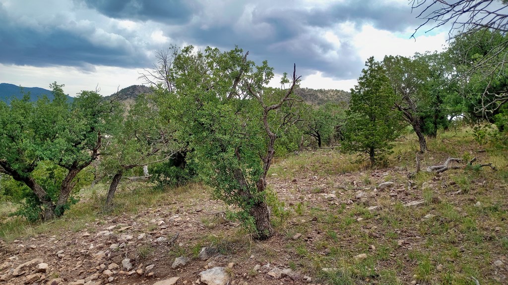 203/207 High Lonesome Trail, Fort Davis, Texas image 9