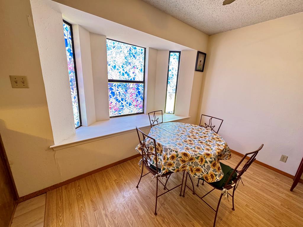 1209 E Gallego Ave, Alpine, Texas image 13