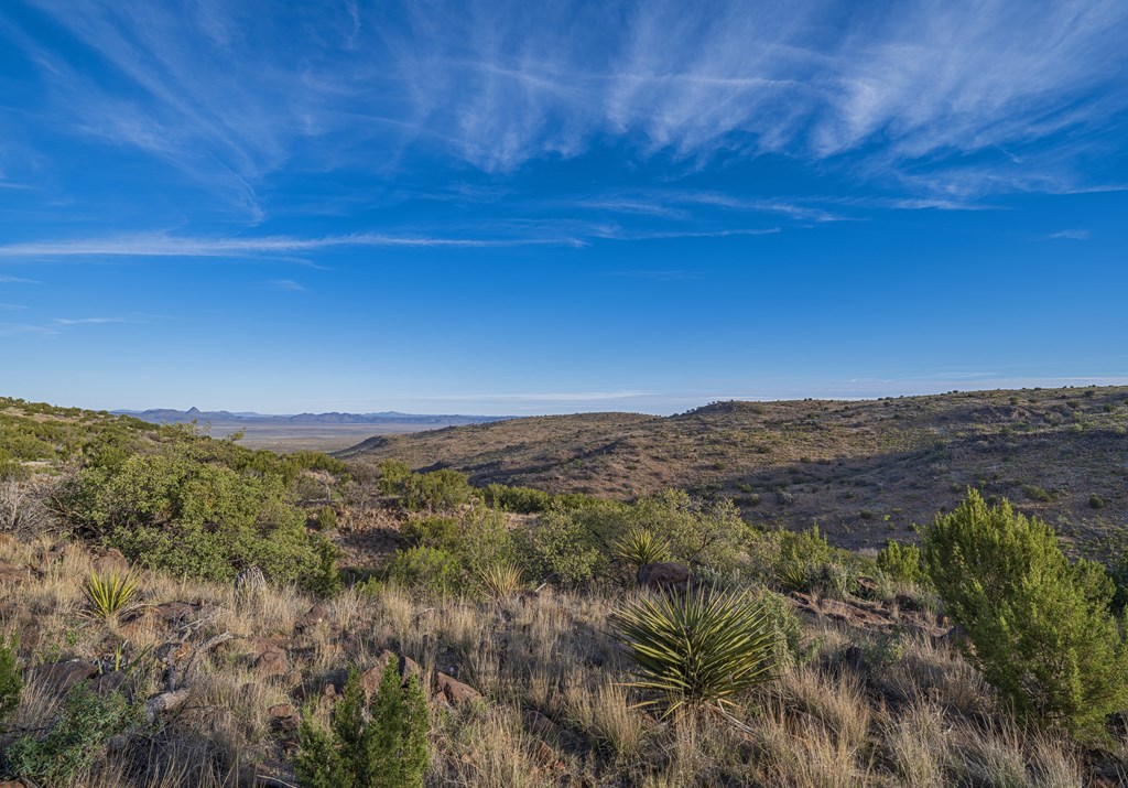 107 High Lonesome Dr, Alpine, Texas image 19