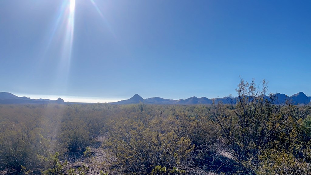 1300 Shipman Road, Terlingua, Texas image 7