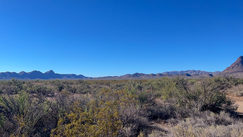 1300 Shipman Road, Terlingua, Texas image 9