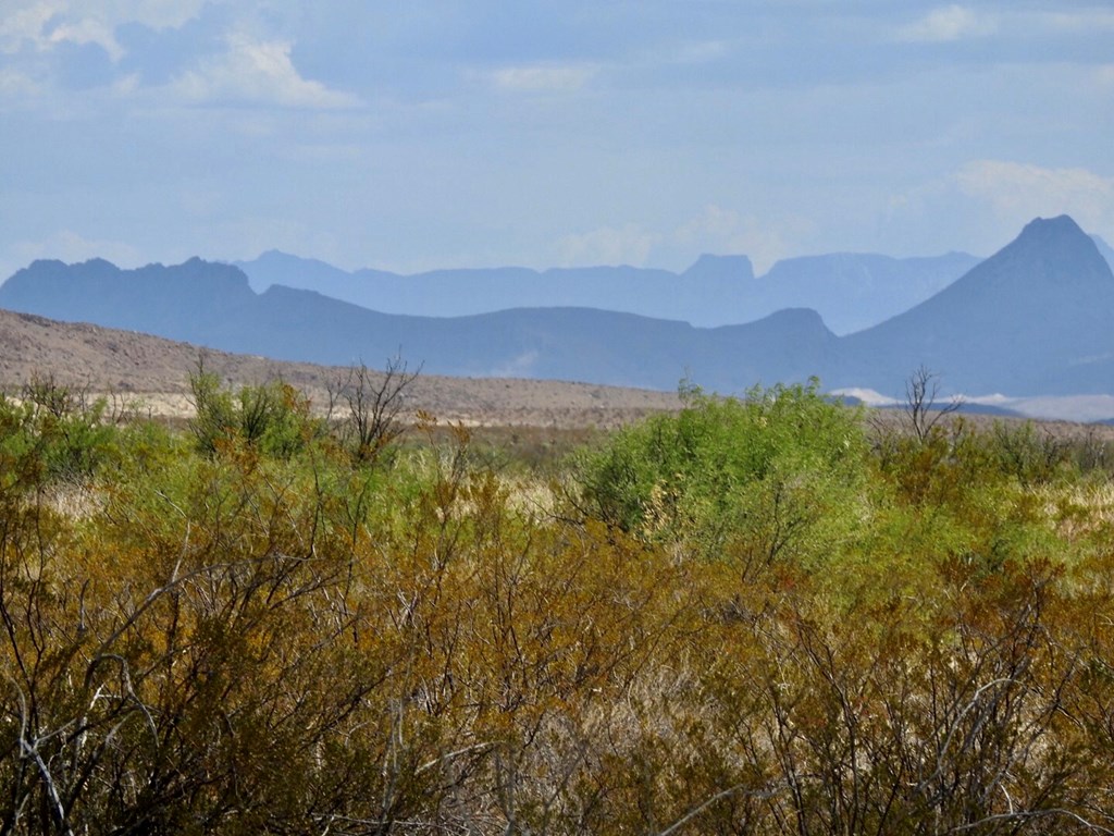 131 Rolling Winds Circle, Odessa, Texas image 4