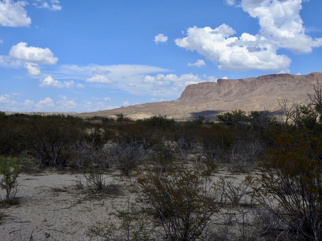 131 Rolling Winds Circle, Odessa, Texas image 26