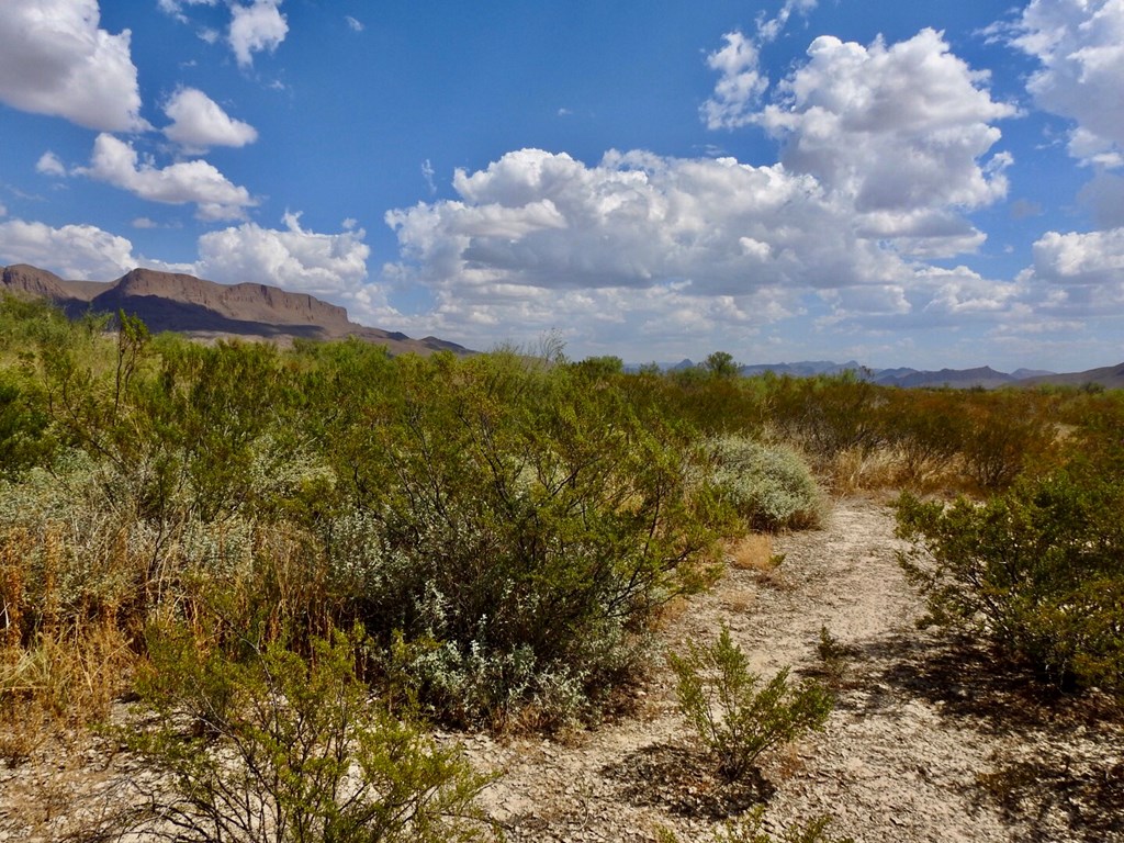 131 Rolling Winds Circle, Odessa, Texas image 31