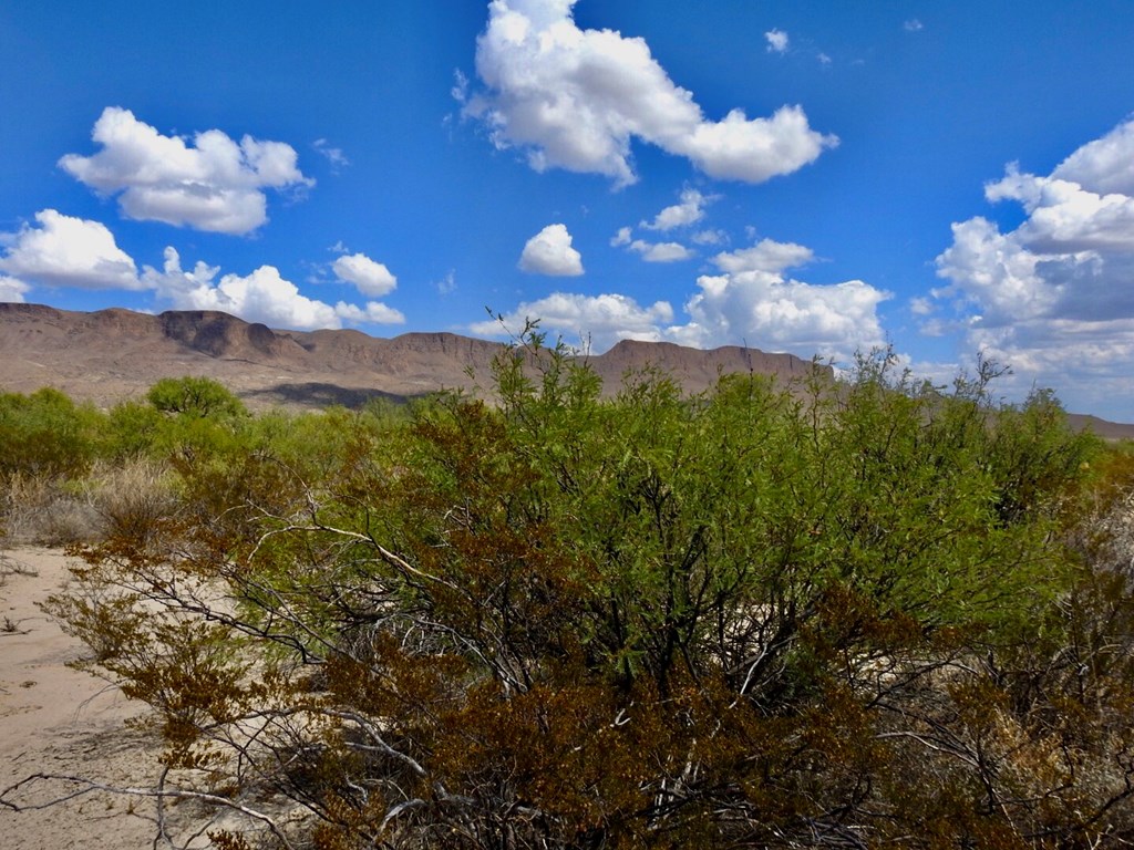 131 Rolling Winds Circle, Odessa, Texas image 15