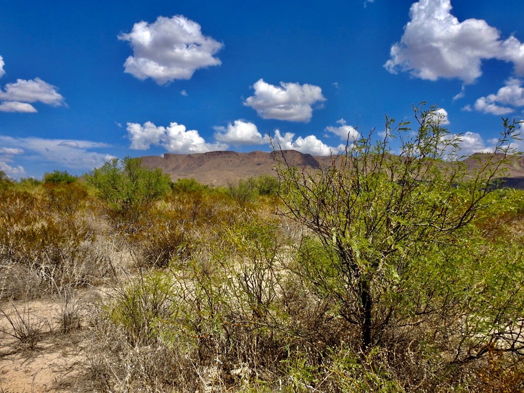 131 Rolling Winds Circle, Odessa, Texas image 11