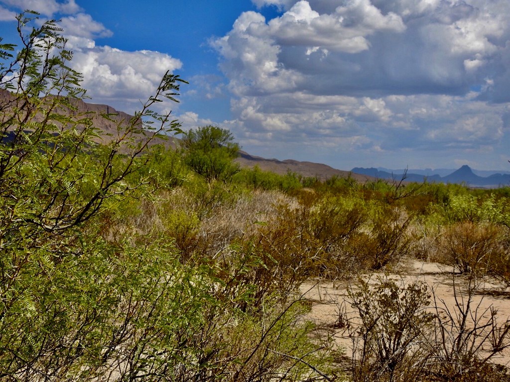 131 Rolling Winds Circle, Odessa, Texas image 8