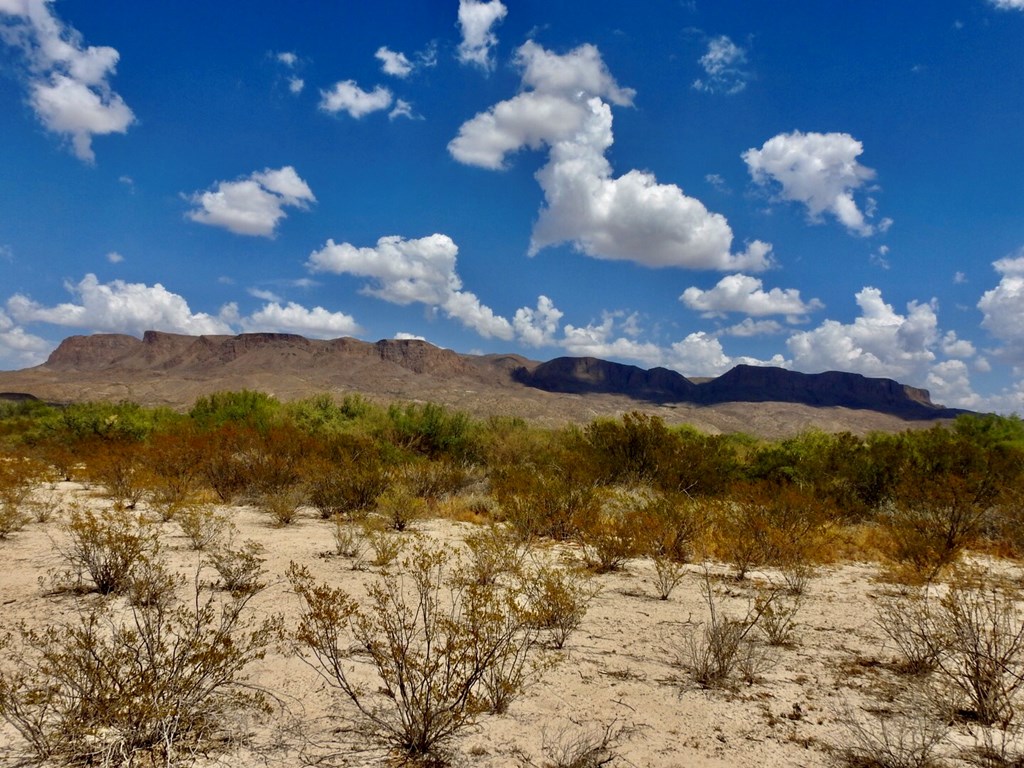 131 Rolling Winds Circle, Odessa, Texas image 33