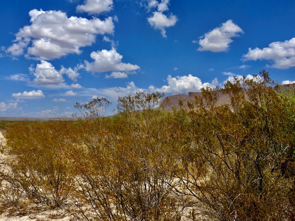 131 Rolling Winds Circle, Odessa, Texas image 32