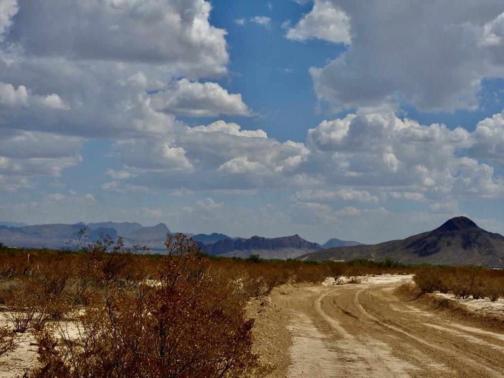 131 Rolling Winds Circle, Odessa, Texas image 3