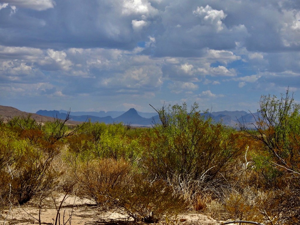 131 Rolling Winds Circle, Odessa, Texas image 9