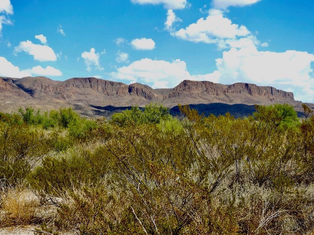 131 Rolling Winds Circle, Odessa, Texas image 1