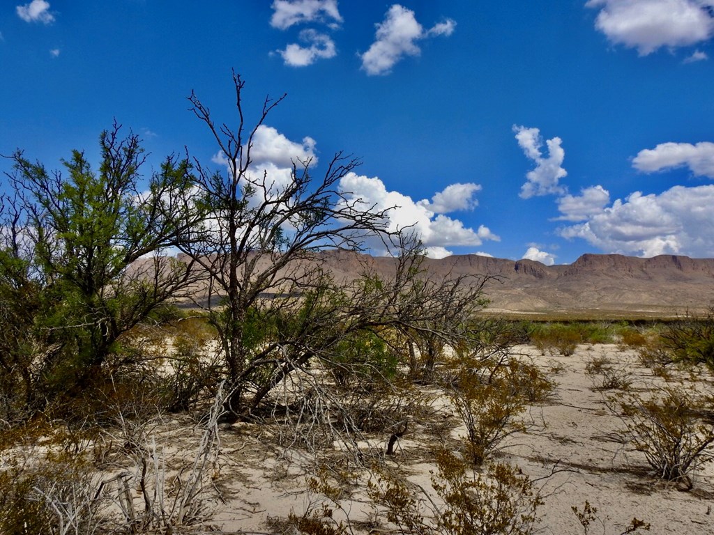 131 Rolling Winds Circle, Odessa, Texas image 21