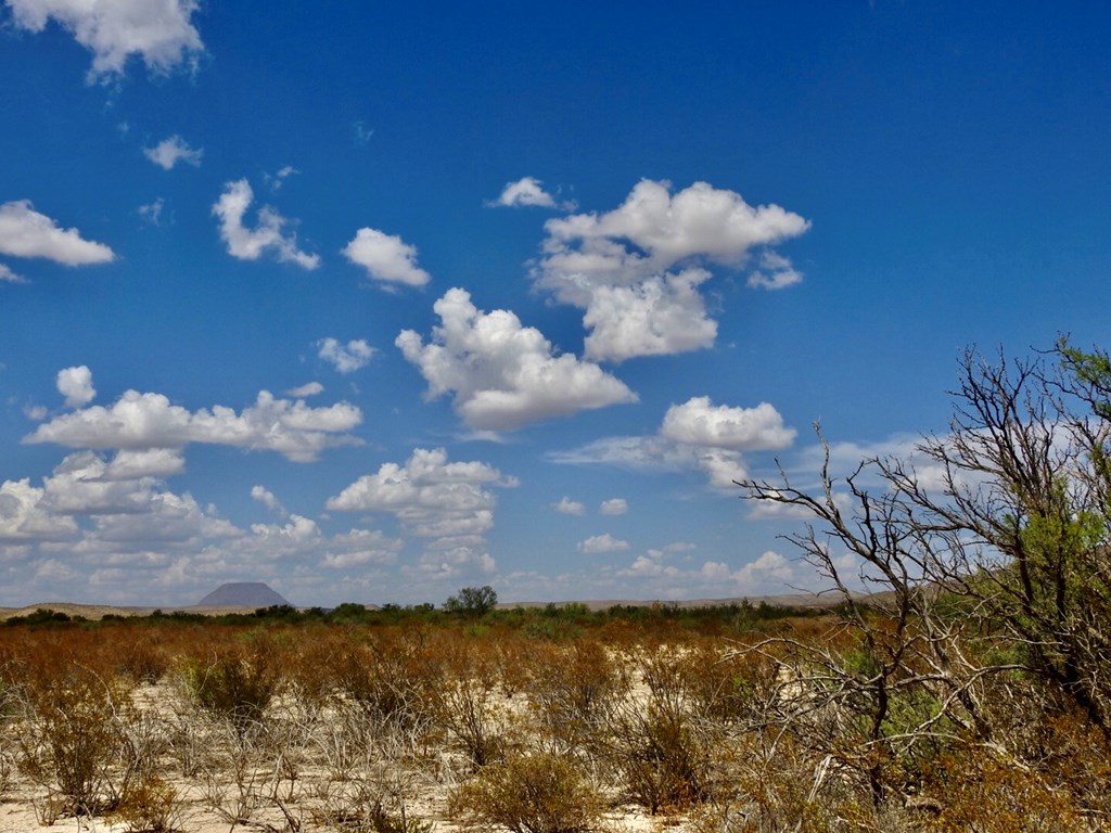 131 Rolling Winds Circle, Odessa, Texas image 23