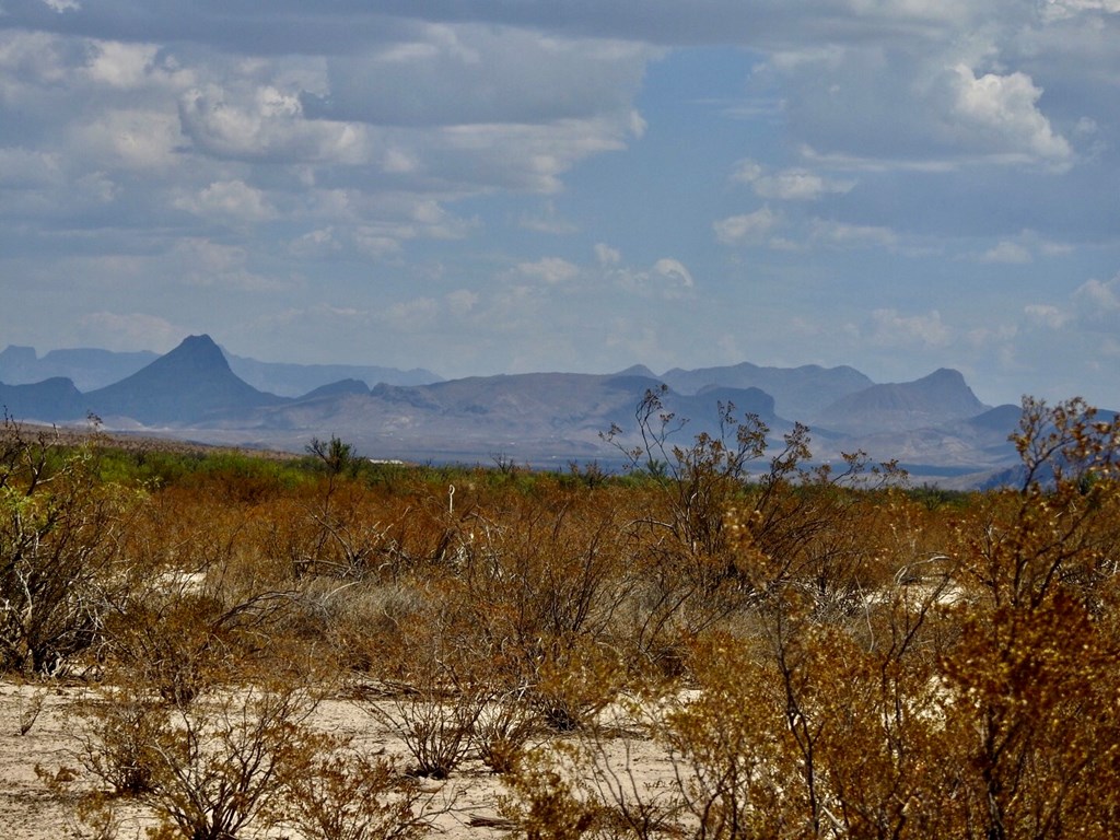 131 Rolling Winds Circle, Odessa, Texas image 14