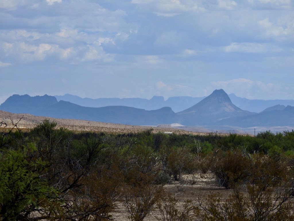 131 Rolling Winds Circle, Odessa, Texas image 19