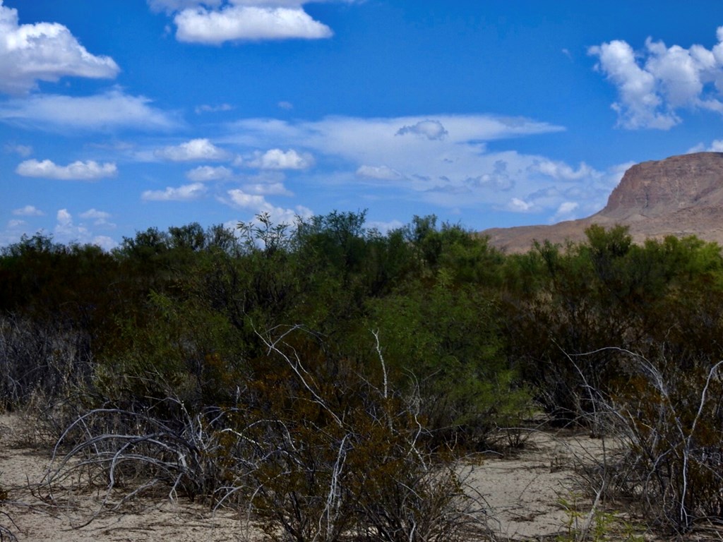 131 Rolling Winds Circle, Odessa, Texas image 16