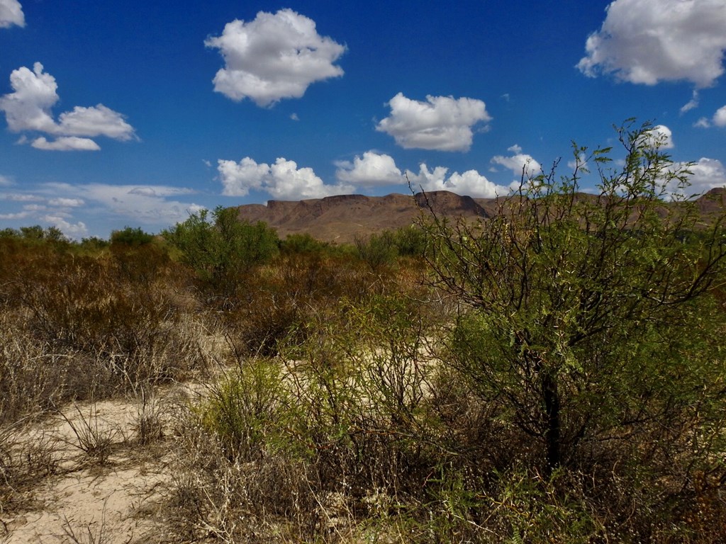 131 Rolling Winds Circle, Odessa, Texas image 10