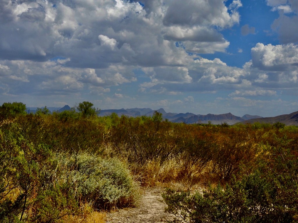 131 Rolling Winds Circle, Odessa, Texas image 30