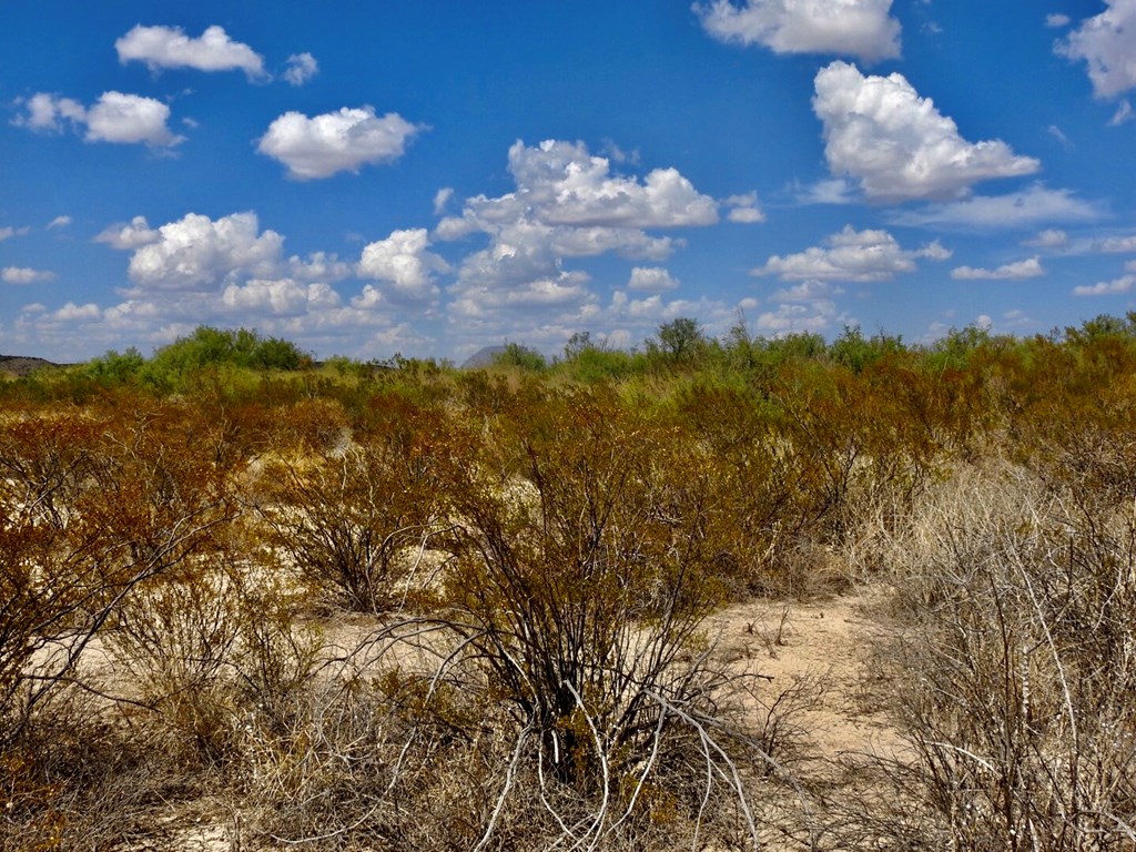 131 Rolling Winds Circle, Odessa, Texas image 12