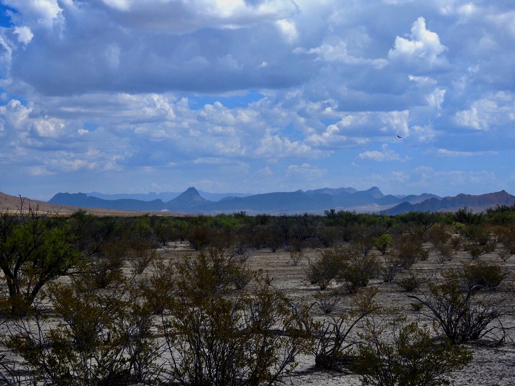 131 Rolling Winds Circle, Odessa, Texas image 17