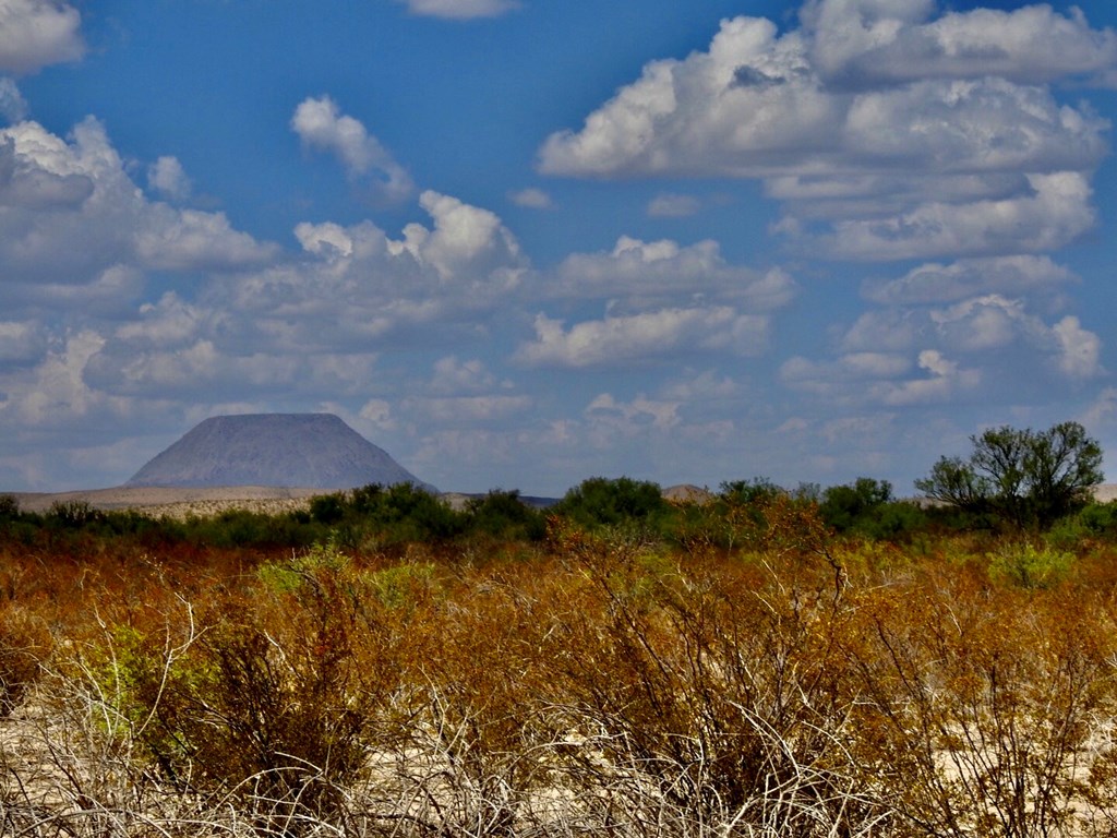 131 Rolling Winds Circle, Odessa, Texas image 20