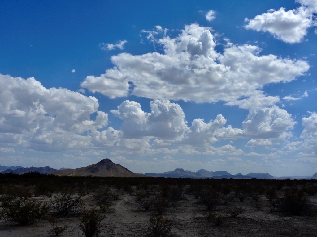 131 Rolling Winds Circle, Odessa, Texas image 27