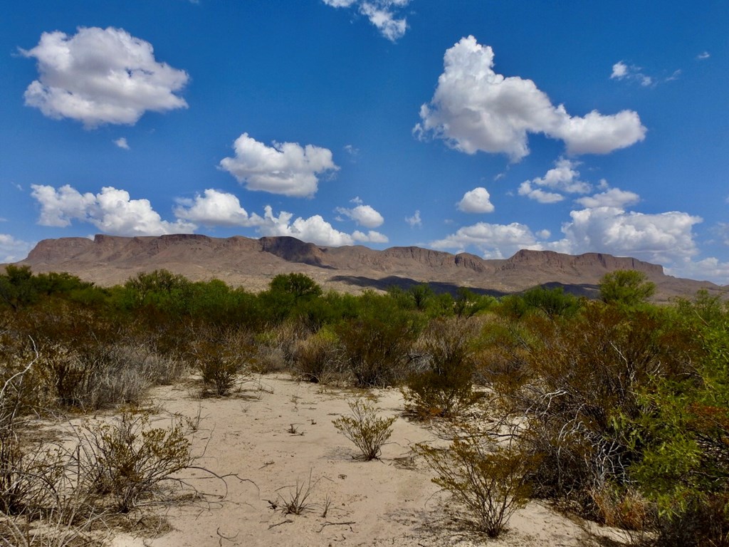 131 Rolling Winds Circle, Odessa, Texas image 5