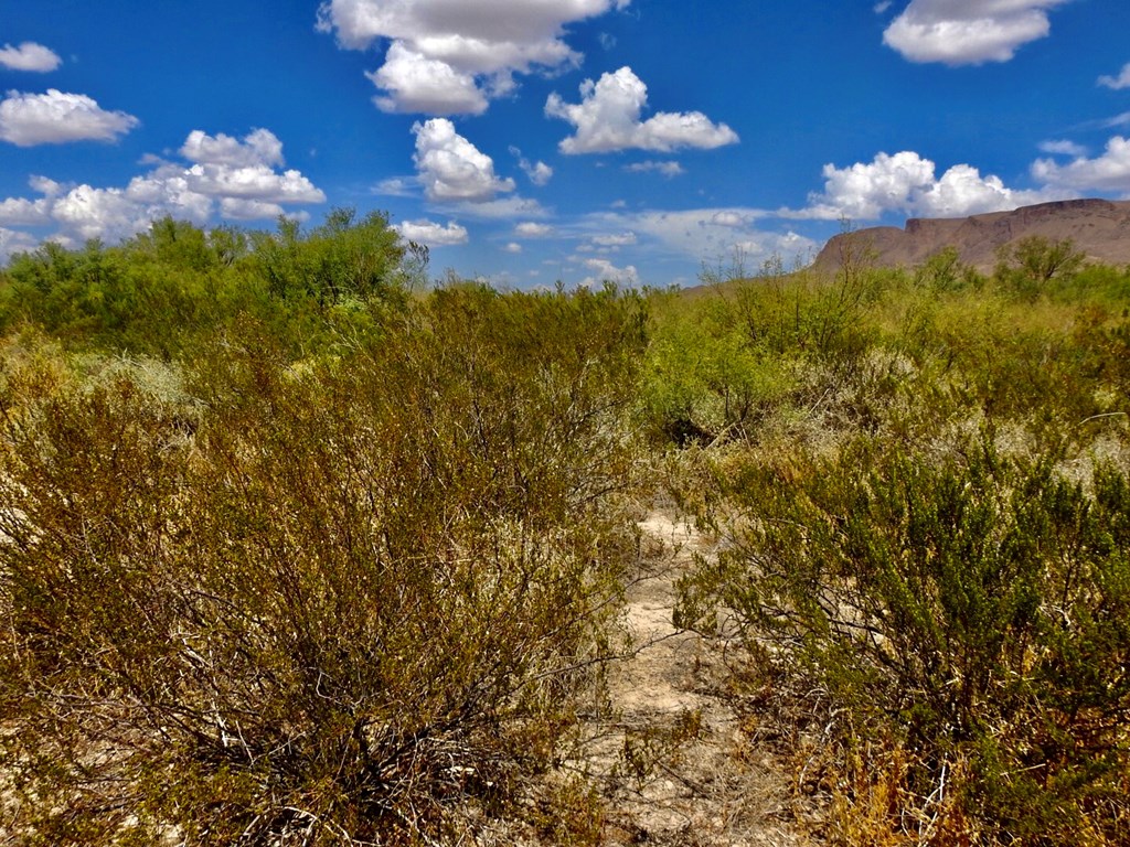 131 Rolling Winds Circle, Odessa, Texas image 29