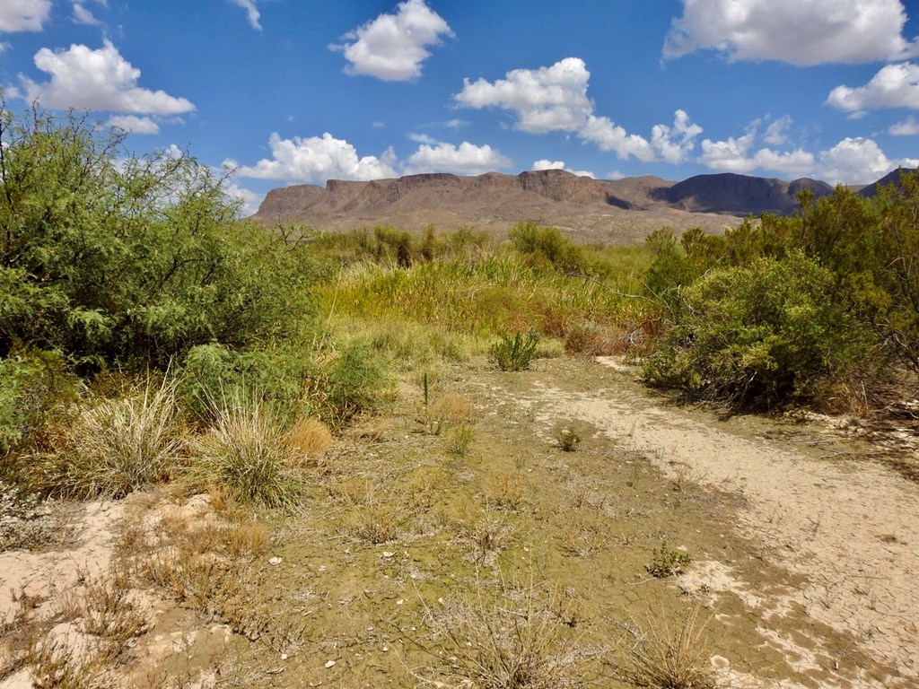 131 Rolling Winds Circle, Odessa, Texas image 24