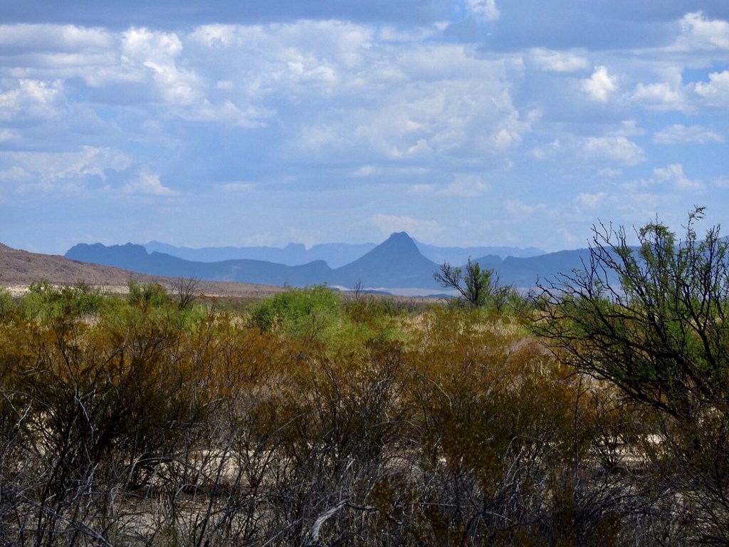 131 Rolling Winds Circle, Odessa, Texas image 13