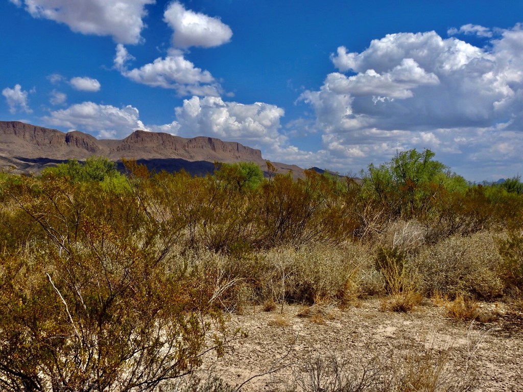 131 Rolling Winds Circle, Odessa, Texas image 7