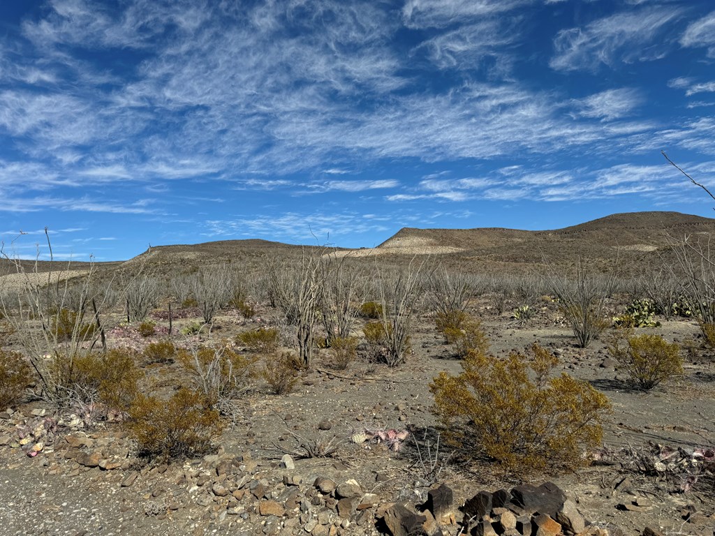 40 Red Fox Rd, Terlingua, Texas image 7