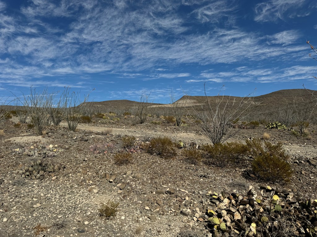 40 Red Fox Rd, Terlingua, Texas image 6