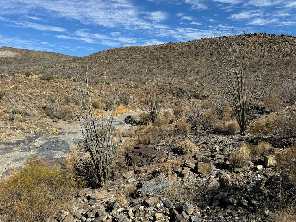 40 Red Fox Rd, Terlingua, Texas image 13