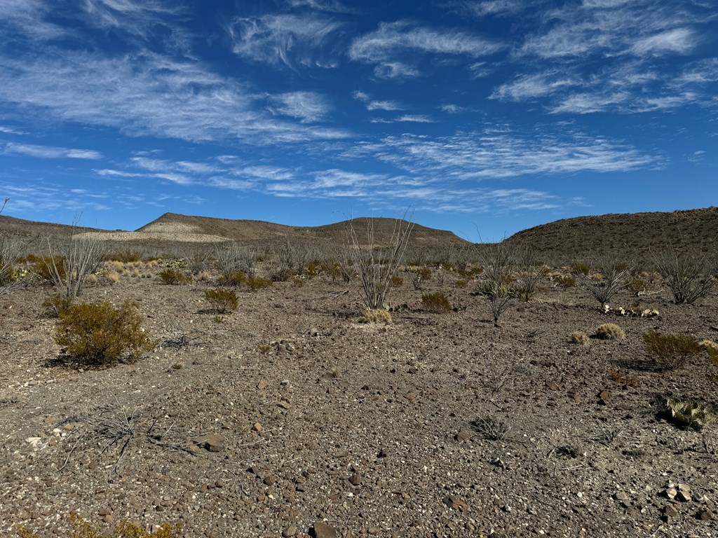 40 Red Fox Rd, Terlingua, Texas image 4