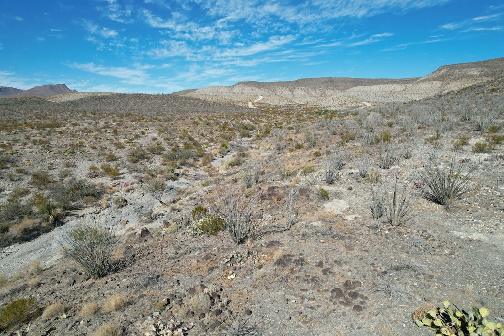 40 Red Fox Rd, Terlingua, Texas image 21