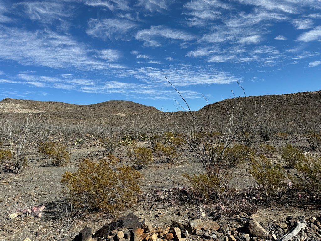 40 Red Fox Rd, Terlingua, Texas image 8