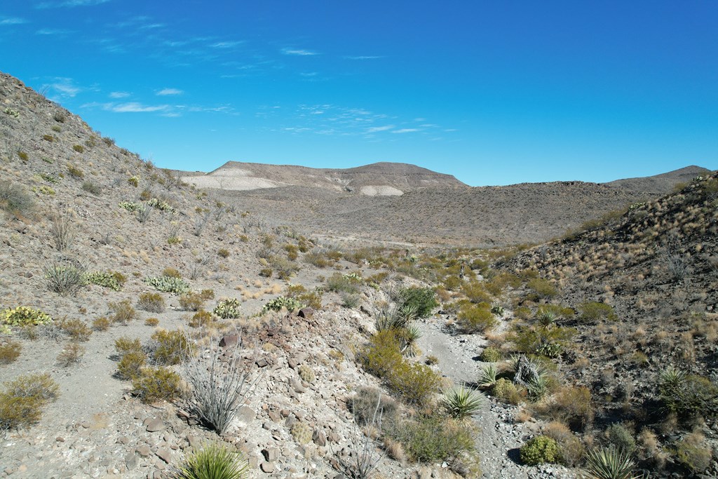 40 Red Fox Rd, Terlingua, Texas image 20