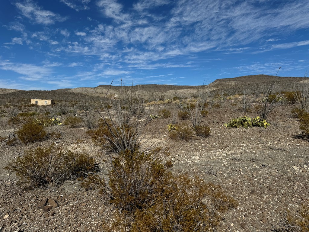 40 Red Fox Rd, Terlingua, Texas image 3