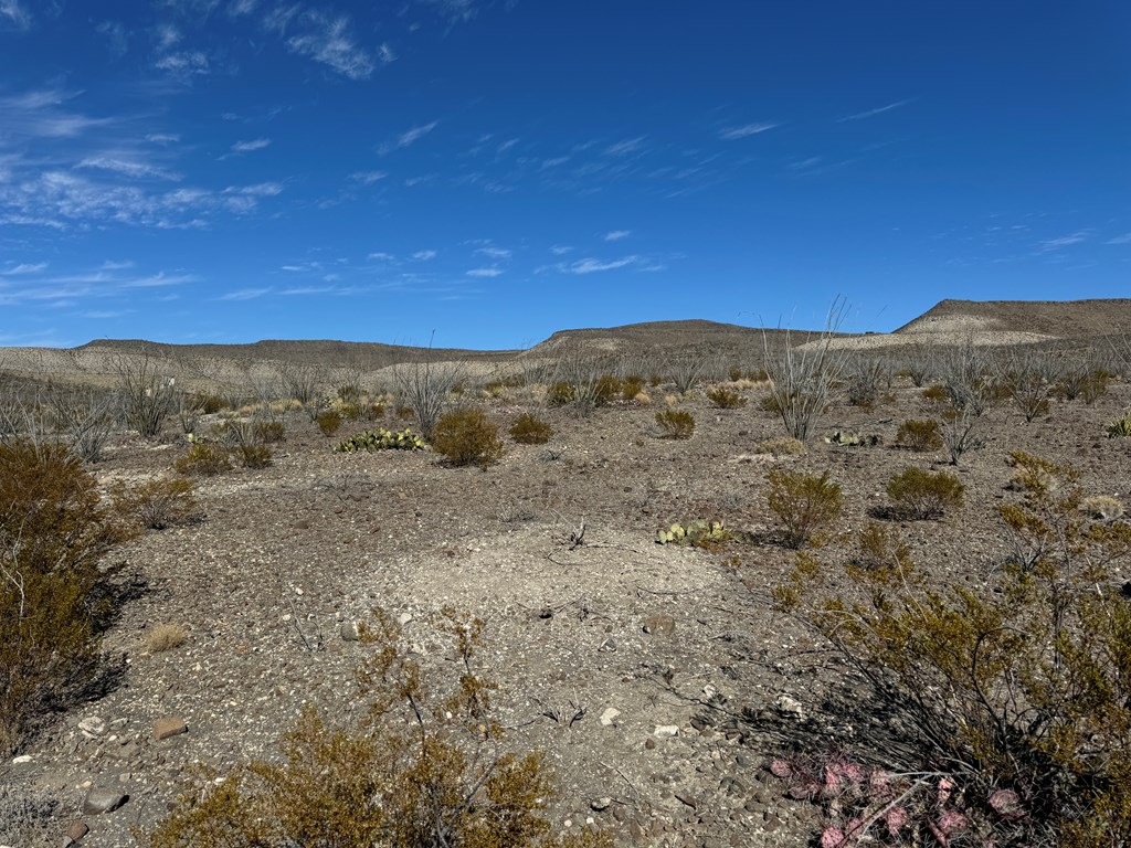 40 Red Fox Rd, Terlingua, Texas image 16